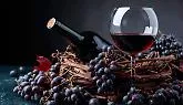 Settembre tra vigne e tradizioni: a Caluso e Carema tornano le feste dell&rsquo;uva e del vino
